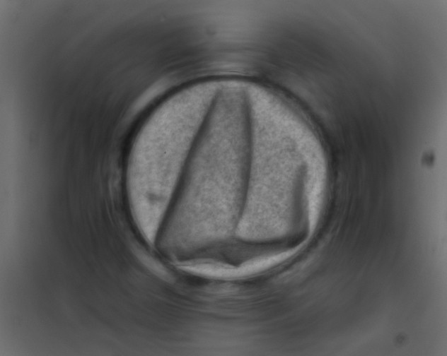 X0000101111450200807171925