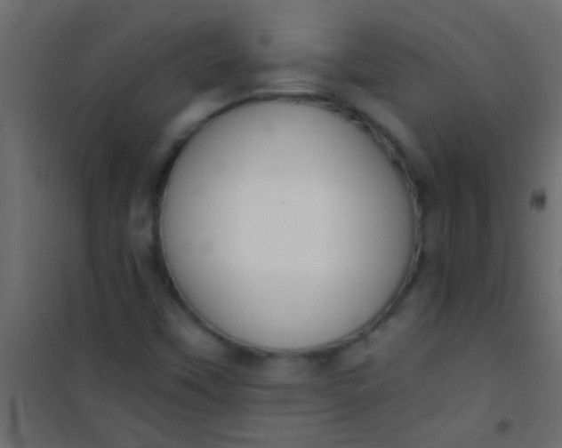 X0000101111451200807171925