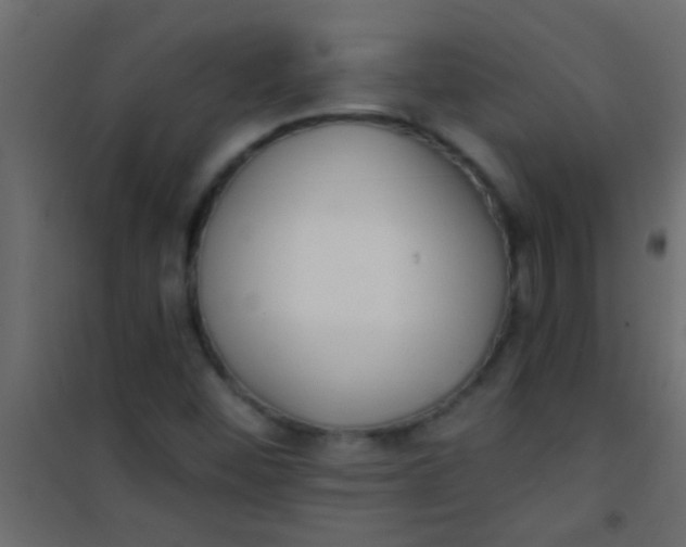 X0000101111452200807171925