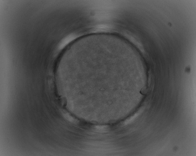 X0000101111453200807171925