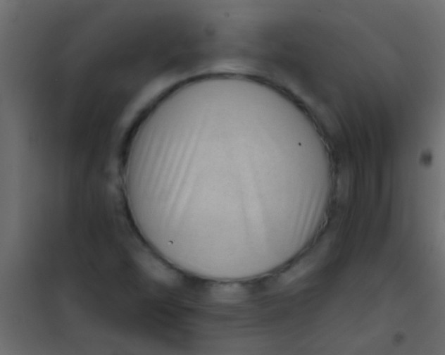 X0000101111454200807171925