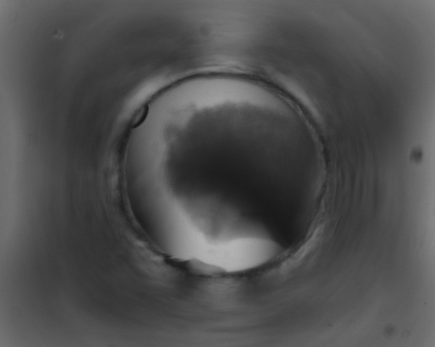 X0000101111455200807171925
