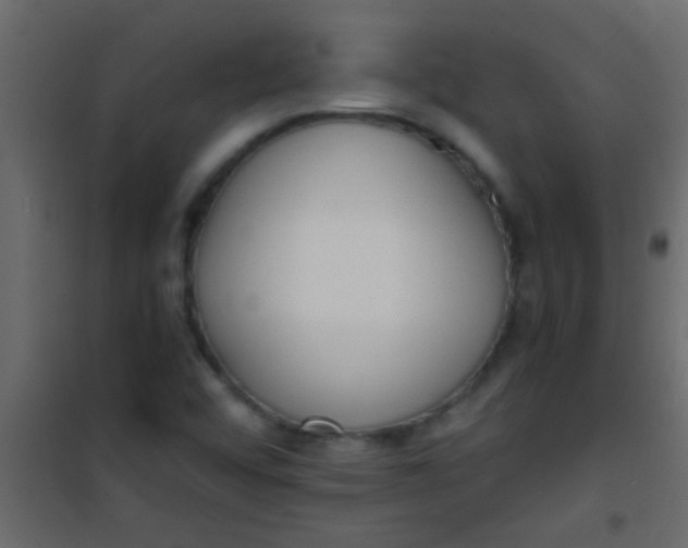 X0000101111456200807171925