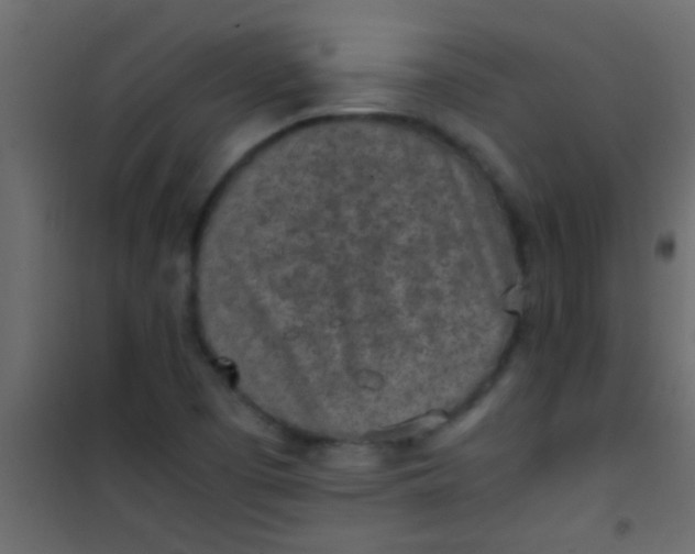 X0000101111457200807171925