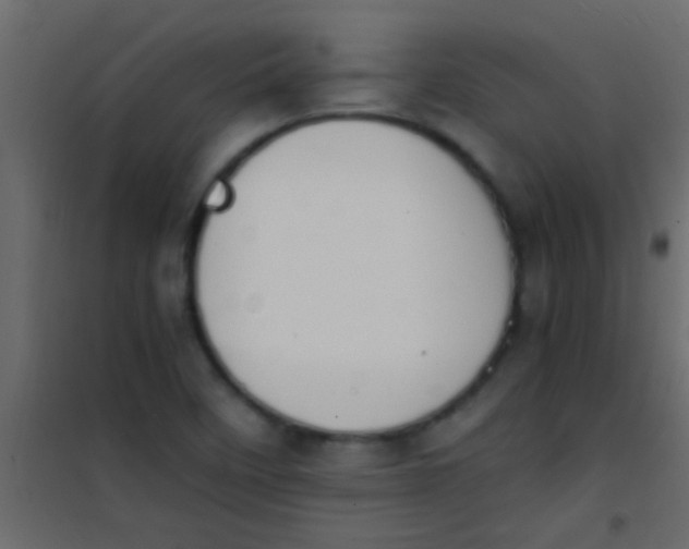 X0000101111458200807171925