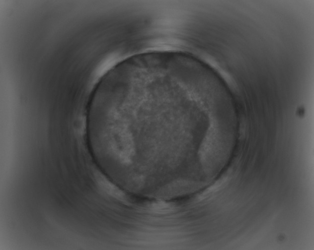 X0000101111459200807171925