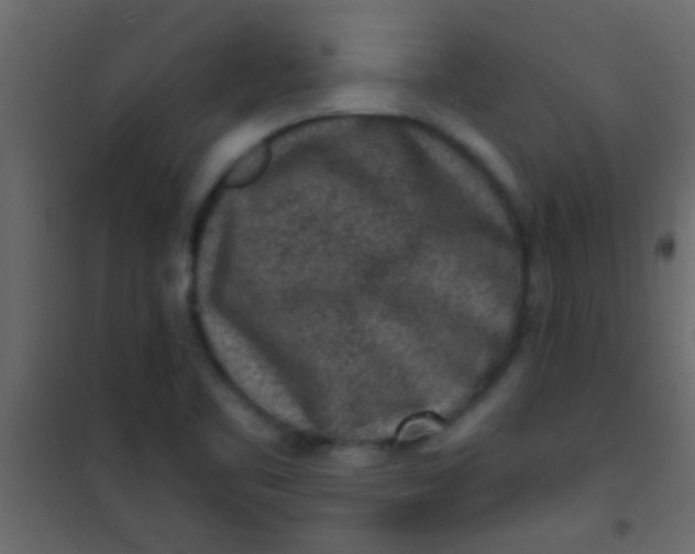 X0000101111461200807171925