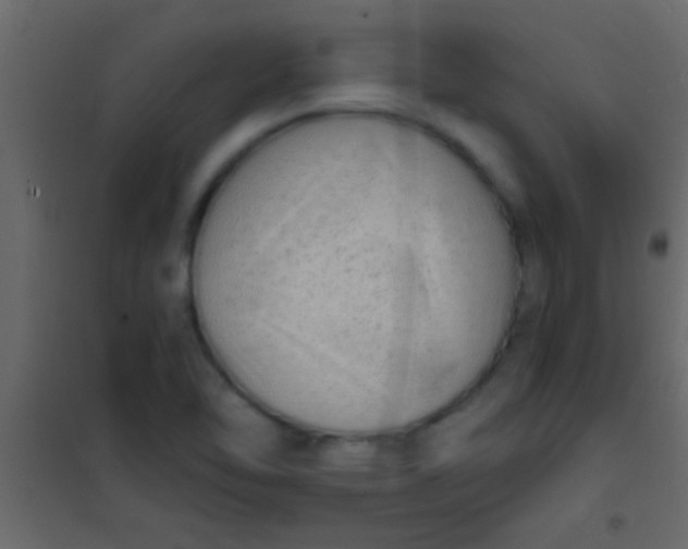 X0000101111462200807171925
