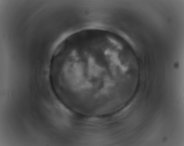 X0000101111463200807171925
