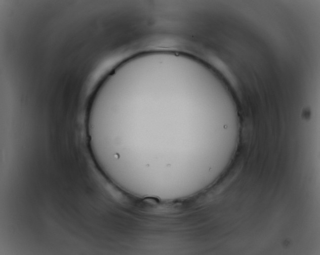 X0000101111464200807171925