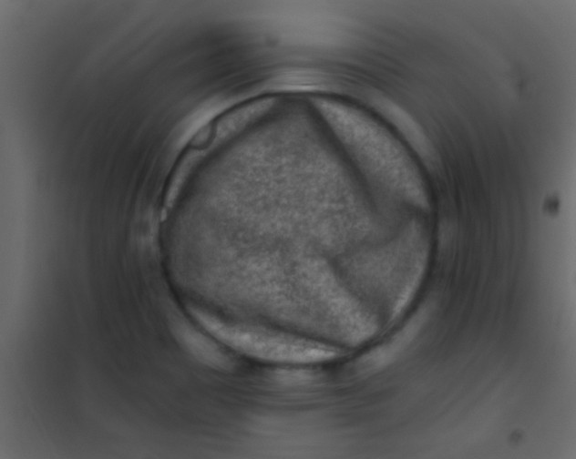 X0000101111465200807171925