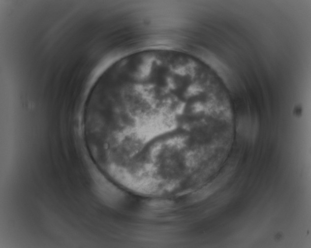X0000101111466200807171925