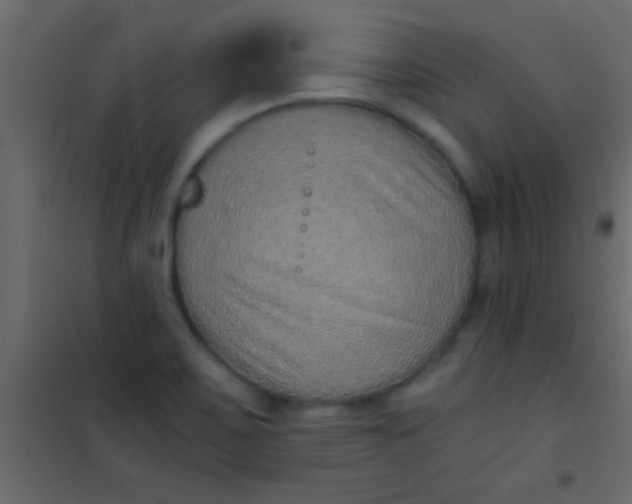 X0000101111467200807171925