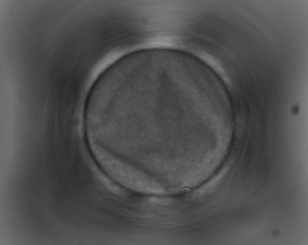 X0000101111469200807171925