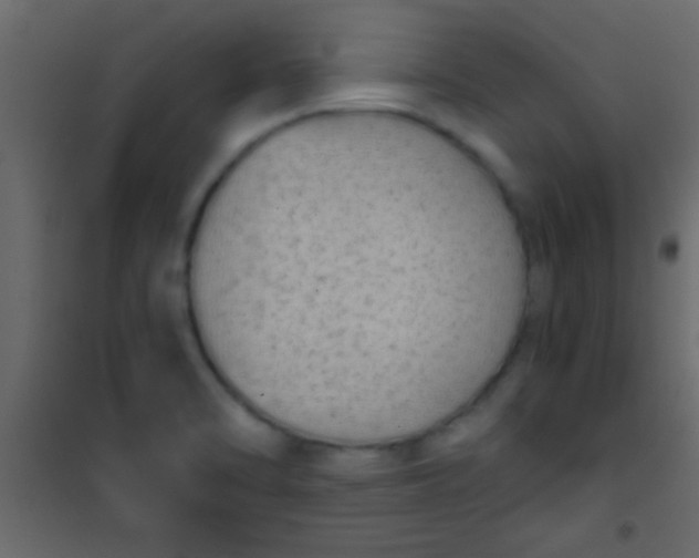 X0000101111470200807171925