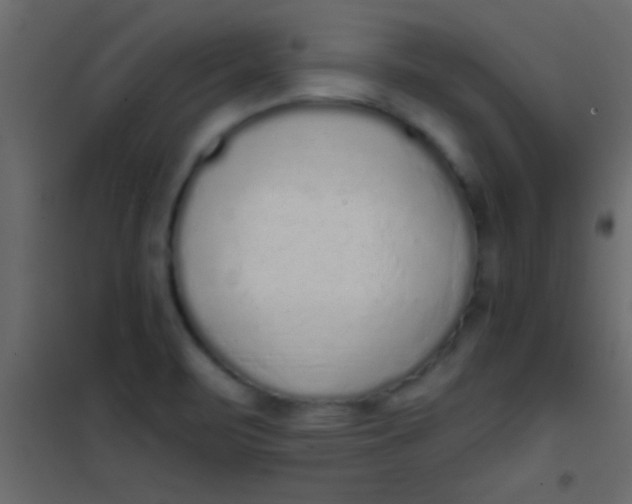 X0000101111471200807171925