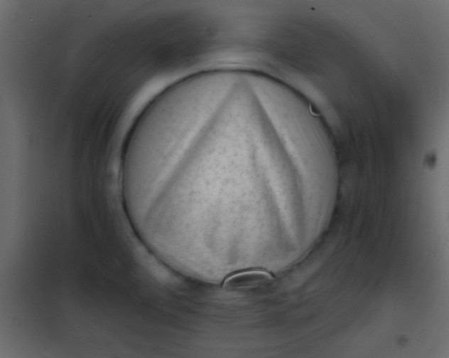 X0000101111472200807171925