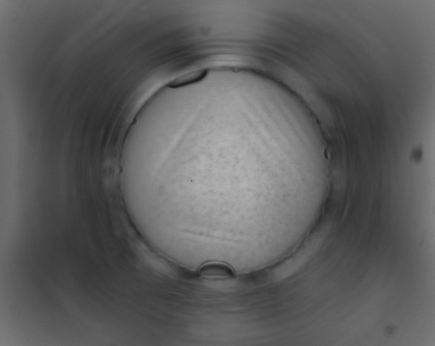 X0000101111473200807171925