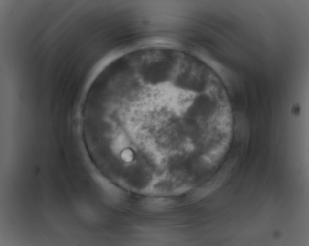 X0000101111474200807171925