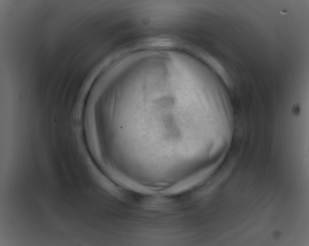 X0000101111475200807171925