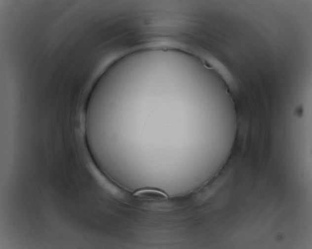 X0000101111476200807171925