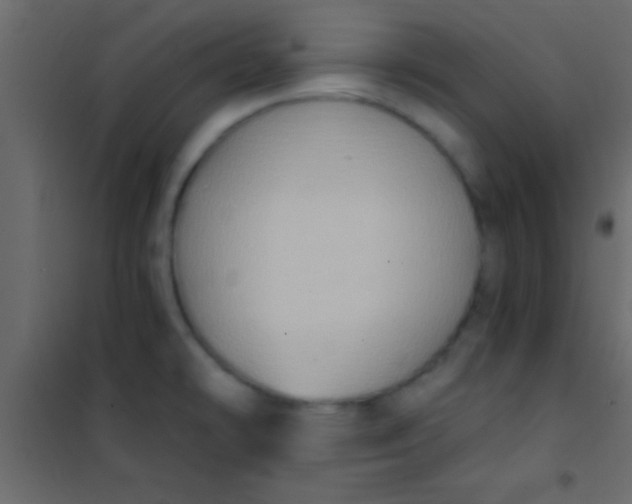 X0000101111478200807171925