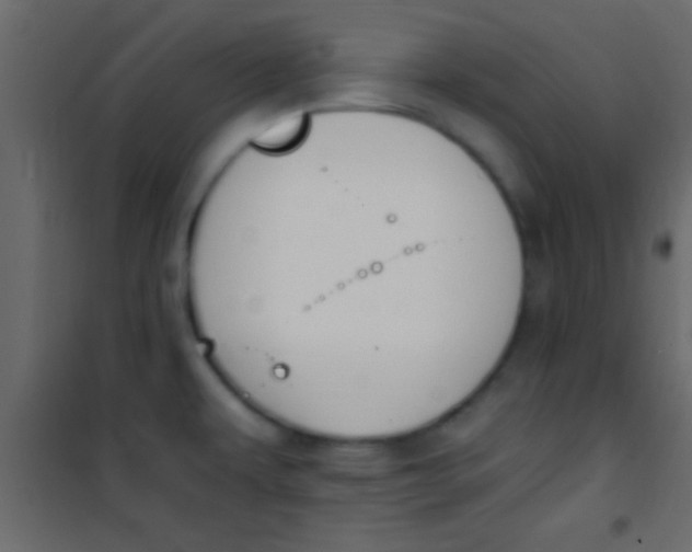 X0000101111479200807171925