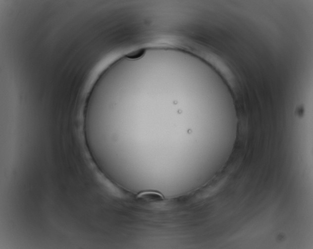 X0000101111480200807171925