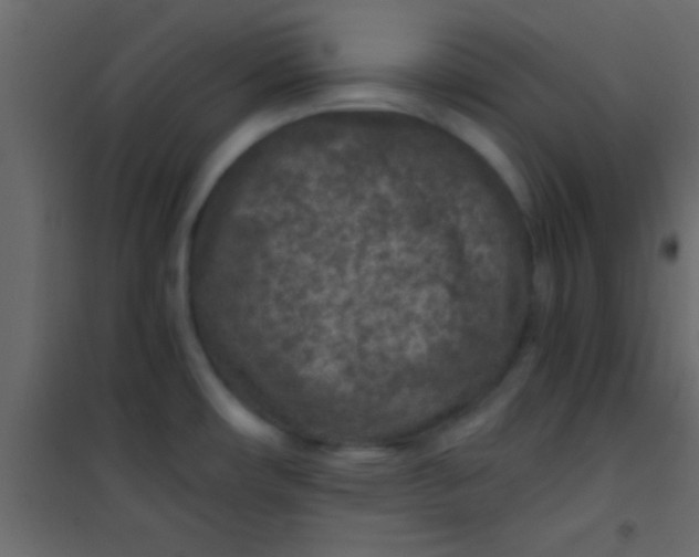 X0000101111482200807171925