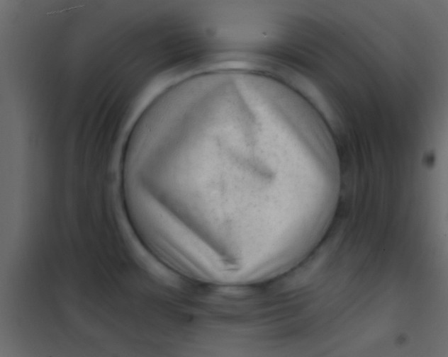 X0000101111483200807171925