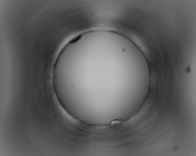 X0000101111484200807171925