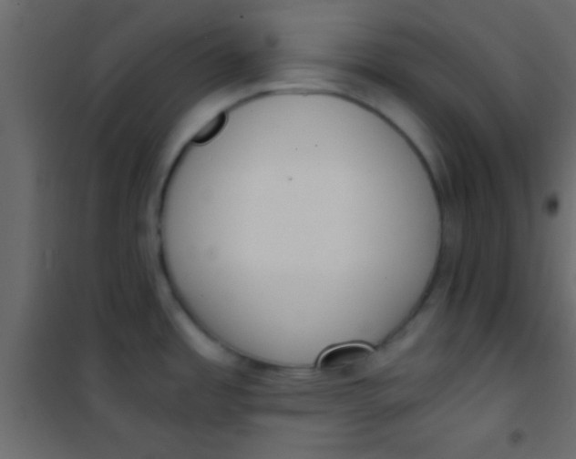 X0000101111485200807171925