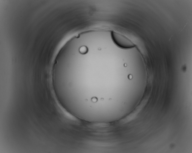 X0000101111486200807171925