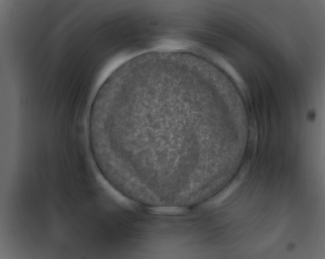 X0000101111487200807171925