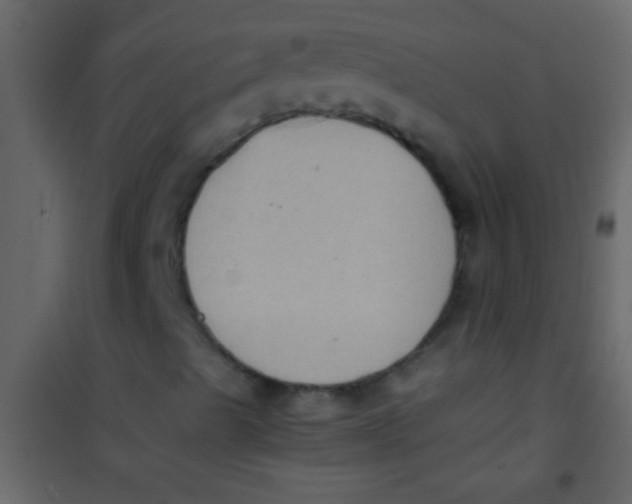 X0000101111489200807171924