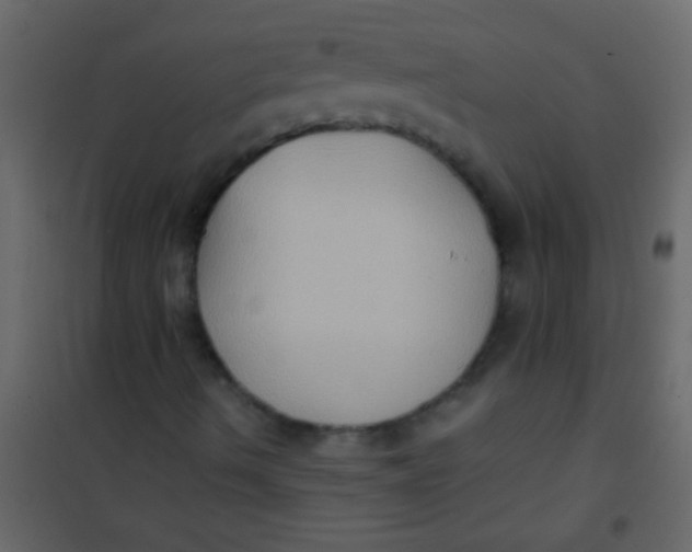X0000101111490200807171924