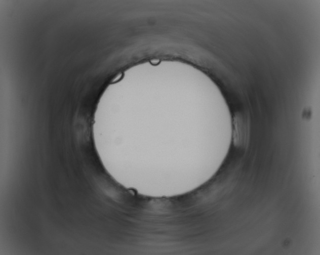 X0000101111491200807171924