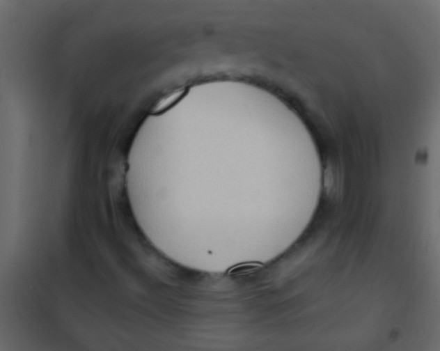 X0000101111492200807171924