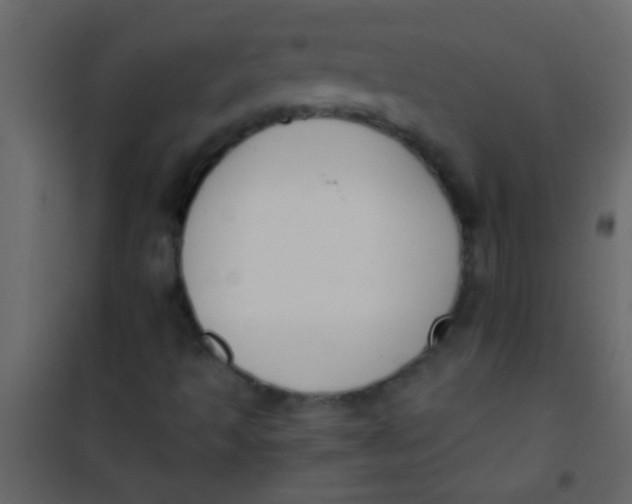 X0000101111493200807171924
