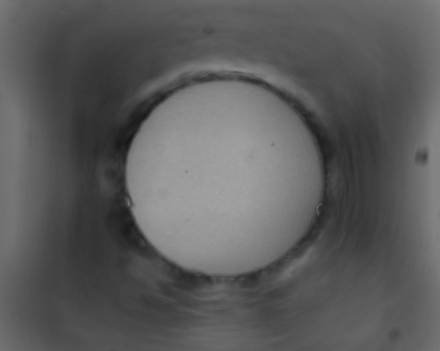 X0000101111494200807171924