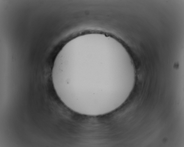 X0000101111495200807171924