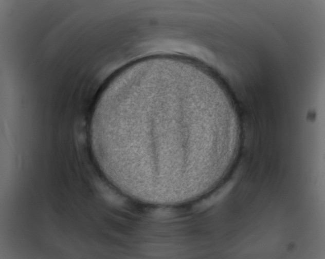 X0000101111497200807171924