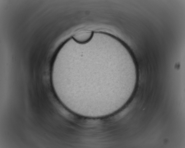 X0000101111498200807171924