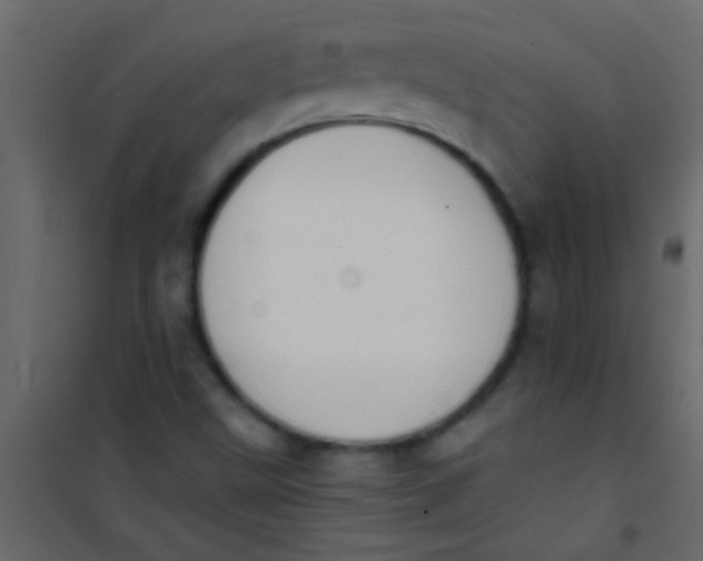 X0000101111499200807171924