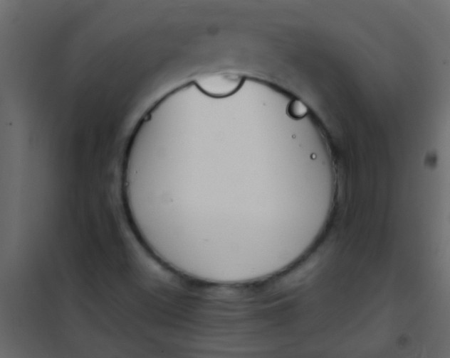 X0000101111500200807171924