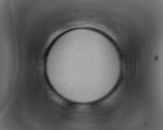 X0000101111501200807171924