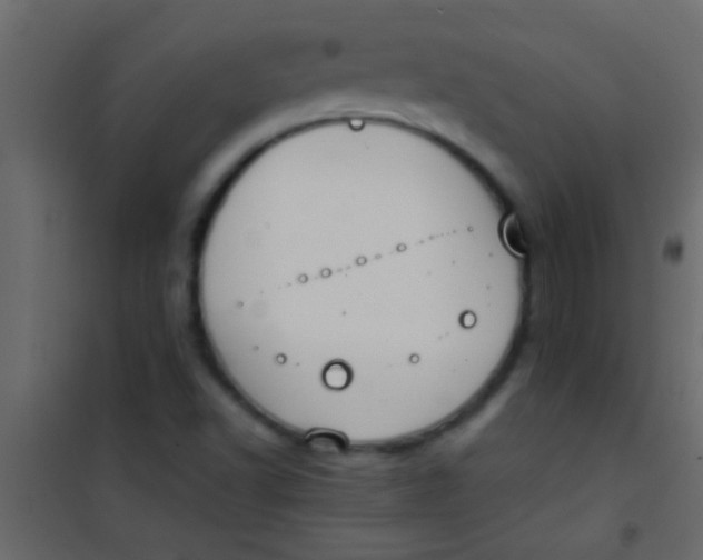 X0000101111502200807171924