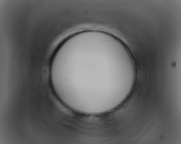 X0000101111503200807171924