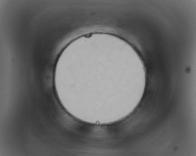 X0000101111504200807171924