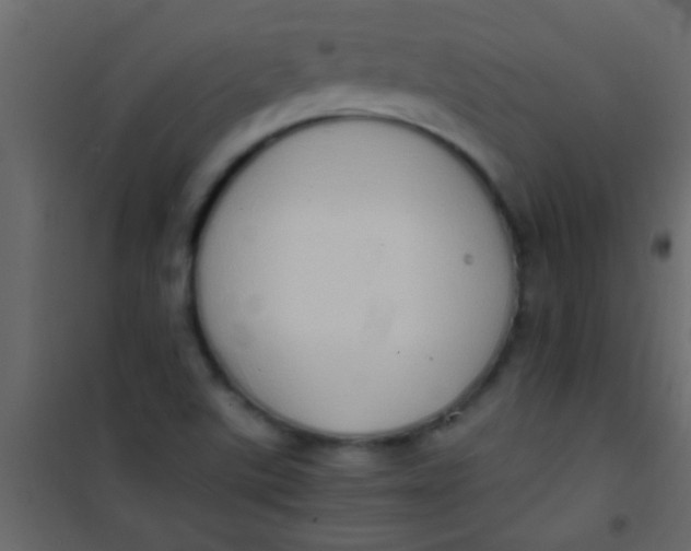 X0000101111507200807171924